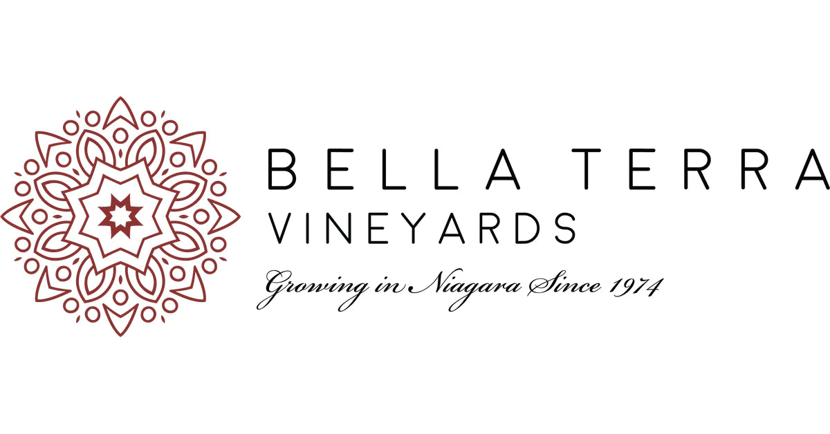 Pre-sale 6 flessen Bella Terra Cabernet Merlot - 2021