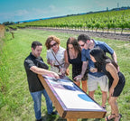 Wijngaard van Bella Terra Vineyards met informatiebord, toonaangevend Canadees wijnhuis bekend om de beste ijswijn