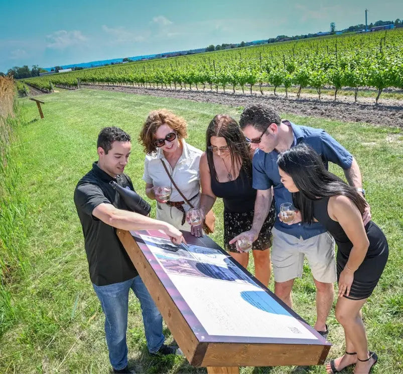 Wijngaard van Bella Terra Vineyards met informatiebord, toonaangevend Canadees wijnhuis bekend om de beste ijswijn