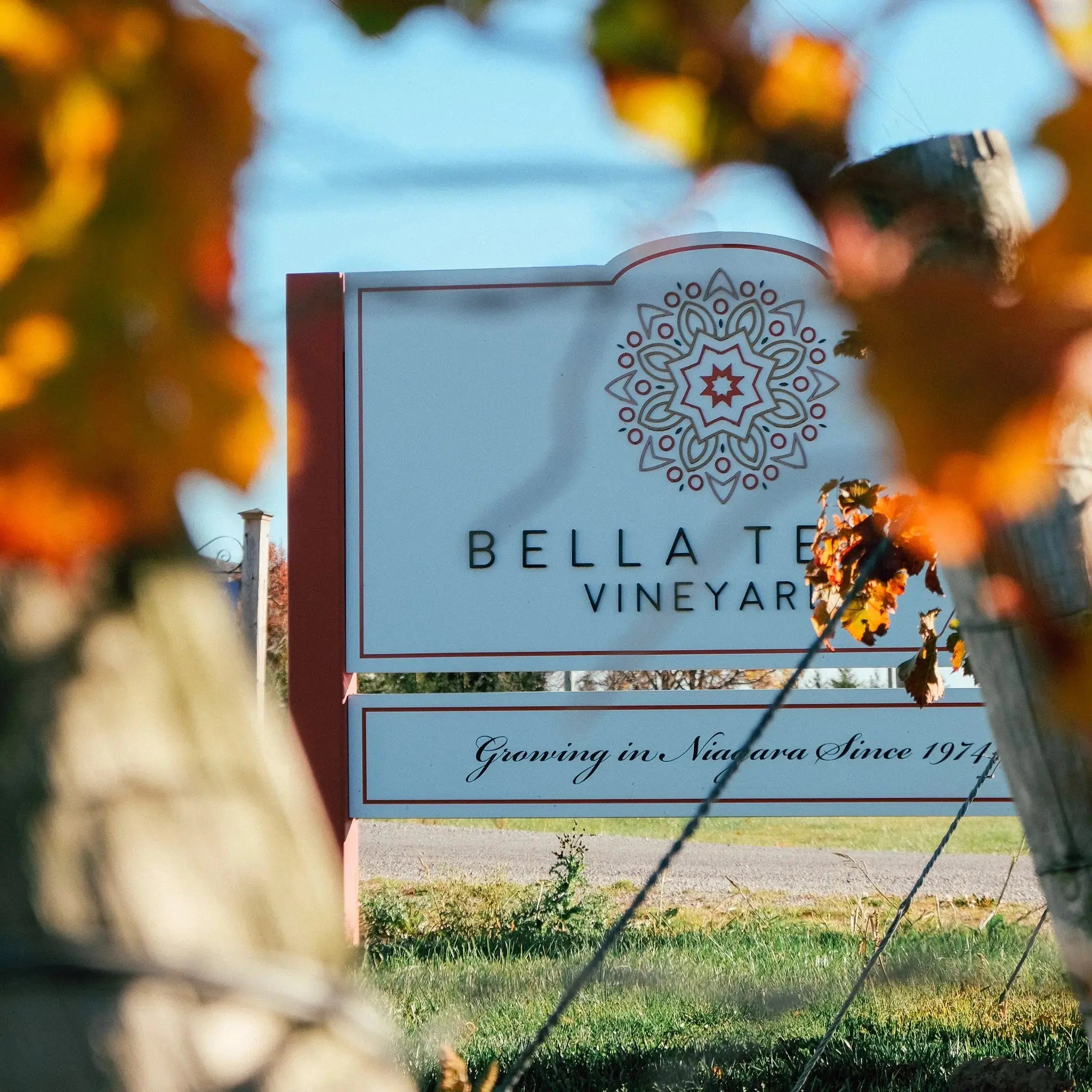 Bella Terra Vineyards – Canadese kwaliteitswijn uit Niagara