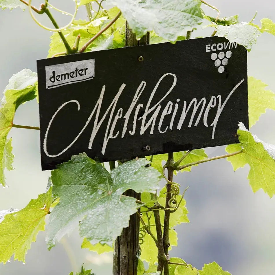 Bordje met opschrift "Melsheimer" aan een wijnrank in de wijngaard van Reiler Mullay-Hofberg, waar de druiven voor de ambachtelijke Riesling Beerenauslese dessertwijn groeien.