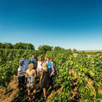 Grand Pre Winery Pomme d'Or Ice Cider - Cidre de Glace IJswijnen