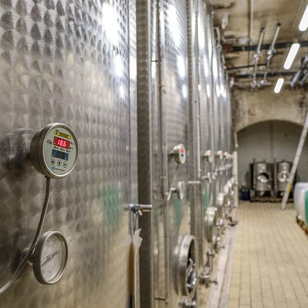 Haltinger Winzer EG Pinot Noir Beerenauslese Barrique 2018 IJswijnen