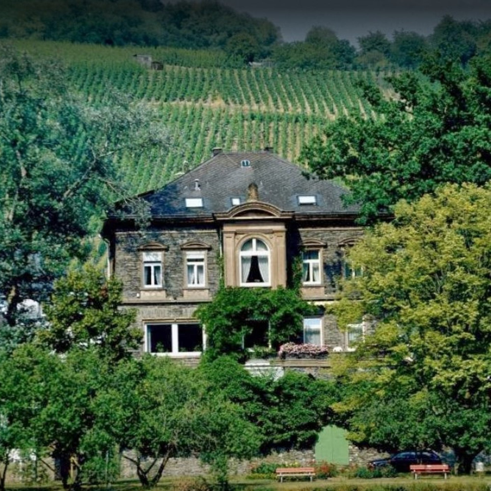 ERBEN Eiswein Edelsüss, 375ml IJswijnen