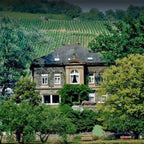 Langguth Erben Beerenauslese, 2020 IJswijnen