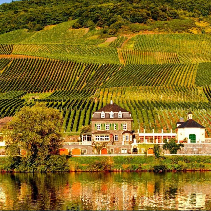 Dr Loosen Riesling Beerenauslese, 2017, 187ml IJswijnen