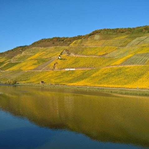 Eiswein, Weingut S.A. Prüm Graacher Dompropst Riesling VAT 58, 2002 IJswijnen