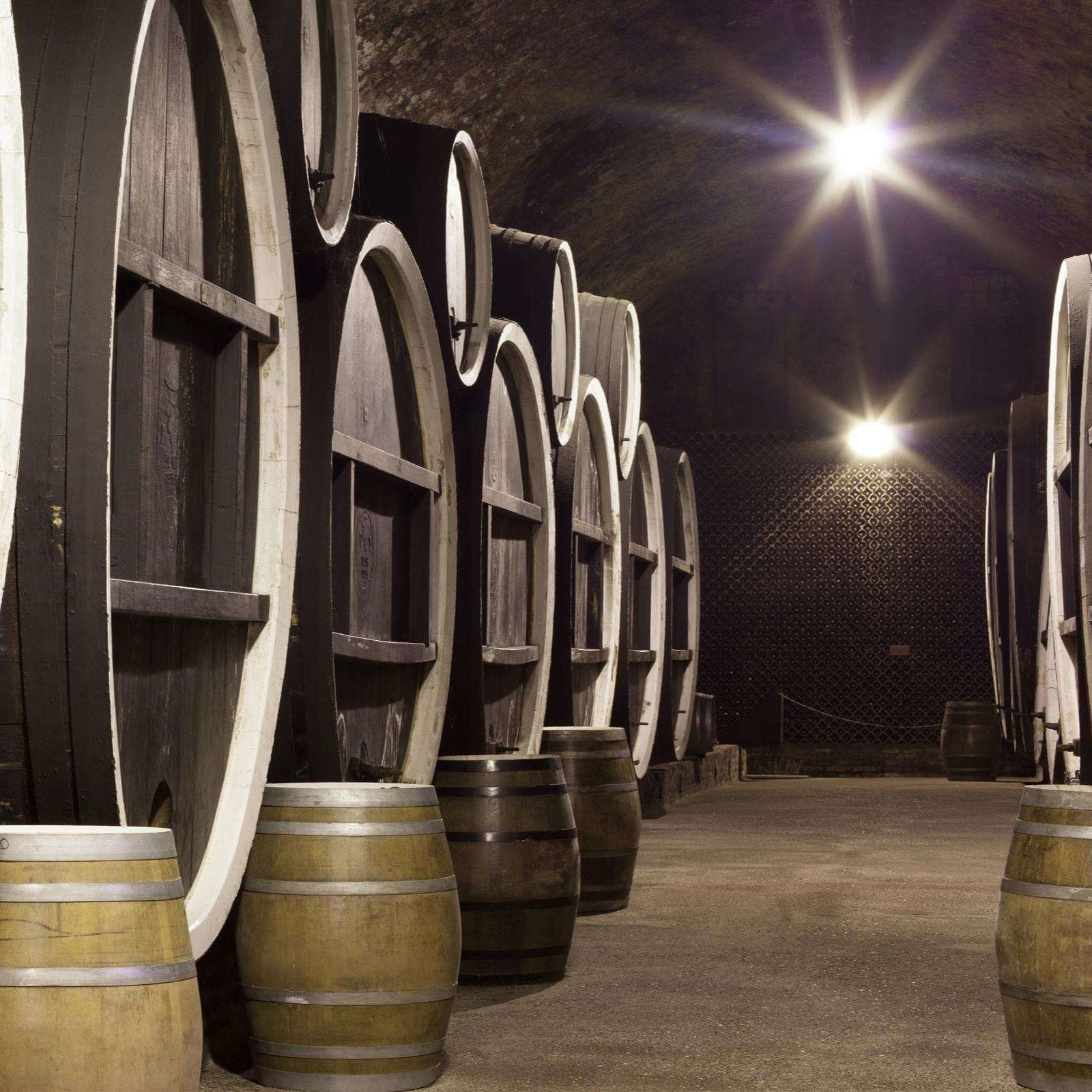 Ilocki Podrumi Traminac (icewine) Ledena berba Principovac 2008 IJswijnen