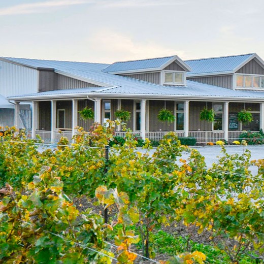 Pondview Estate Winery, Vidal Icewine 2015
